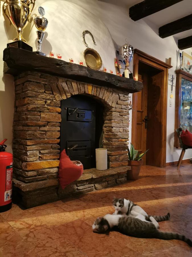 Gut Roemerhof Altenmarkt im Pongau Zewnętrze zdjęcie